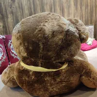 عروسک خرس بزرگ|اسباببازی بچه|رشت, معلم|دیوار