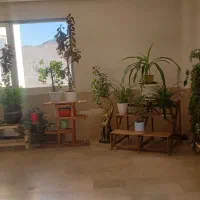 کلیه امورات نظافت راه پله ومنازل پذیرفته میشود