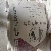 گچ سفید کاری و زیرکار کوه سفید