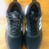 کفش|کیف، کفش، کمربند|رشت, معلم|دیوار