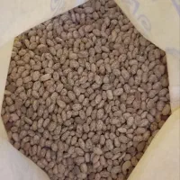 لوبیاکیلویی۲۰۰