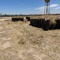 کاه و علوفه