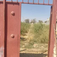 باغ-دیوار-کشی-با-درخت-بادام-5-ساله