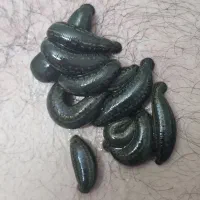 زالو،حجامت،فصد خون،مشاوره طب سنتی