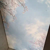 سقف کشسان جلوهای مدرن برای هر فضا . طراحی و نصب|خدمات پیشه و مهارت|همدان, |دیوار