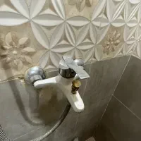 شیر حمام و علم دوش