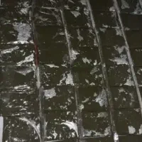 بهترین سبزی با طعم و عطر عالی