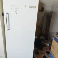 یخچال فریزر ارج