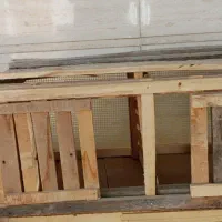 تعدادی قفس پرنده و استند|لوازم جانبی حیوانات|داراب, |دیوار