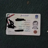 پیدا شده