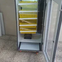 دستگاه جوجه کشی ۲۵۲تایی|لوازم جانبی حیوانات|مشهد, تلگرد|دیوار