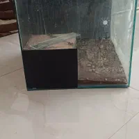 دو عدد اکواریوم کاملا سالم|ماهی|ری, ظهیرآباد|دیوار