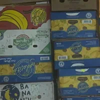 کارتن خالی موزی ۵۰ عدد