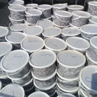 خرما کبکاب و خاصی بهبهان|خوردنی و آشامیدنی|اهواز, شهرک دانشگاه|دیوار