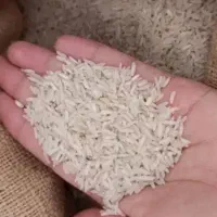 پخش برنج ایرانی|خوردنی و آشامیدنی|محمدشهر, محمدشهر|دیوار