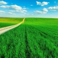 4000مترزمین-باغی-انجیره