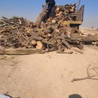 چوب بادام مخصوص ذغال