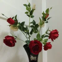 گلدان شیشه ای|صنایع دستی و سایر لوازم تزئینی|تهران, مشیریه|دیوار