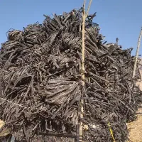 خرید ضایعات نوارتیپ