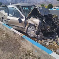 سمند تصادفی