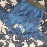 کاوشن خلبانی|لباس|محمودآباد, |دیوار