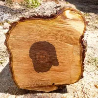 خریدارانواع چوب باغی|خدمات باغبانی و درختکاری|فیروزکوه, |دیوار