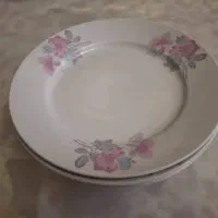 بشقاب تخت چینی|ظروف سرو و پذیرایی|ارومیه, |دیوار