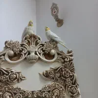 عروس هلندی دستی وسخن گو|پرنده|قم, زاویه|دیوار