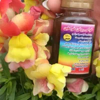 فروش روغن خراطین اصل