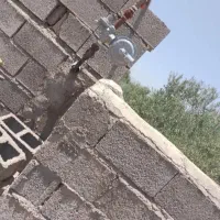 زمین گیلان رشت/ و فروش باغ زیتون شمال(لوشان) ویلا|فروش زمین و ملک کلنگی|چهاردانگه (تهران), |دیوار