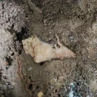 زمین شهرک کوثر بلوک ده ـ دوکله