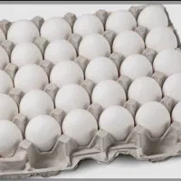 پخش تخم مرغ