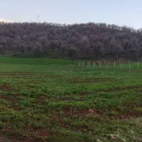 زمین خام سر جاده اصلی 3 طرف باز