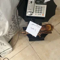 فروش فوری با تخفیف|حراج|پرند, فاز ۱|دیوار