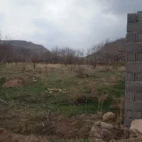 زمین ویلایی ورده به قیمت