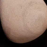 فسیل صدف و یک سنگ بزرگ تقریبا صد گرمی فیروزه