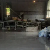 چای بهاره درجه یک