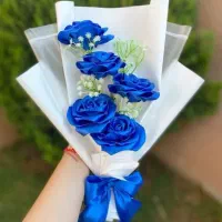 گالری رُزلَند روز دختر