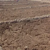 چهارشاخ زمین زعفران با دستگاه کلتیواتر|فعالیت داوطلبانه|تربت جام, جامرود|دیوار