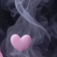 کیف پول مشکی زنانه گمشده