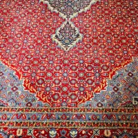 فرش ها ۱۲متری قرمز قیمت ها مناسب سالم تمام‌نخ|فرش|علی‌آباد کتول, |دیوار
