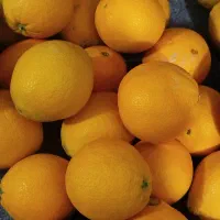 پرتقال کیلویی۴۰