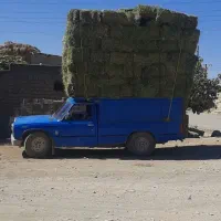 یونجه انباری و تازه چین دوم موجود|عمده‌فروشی|قیدار, |دیوار