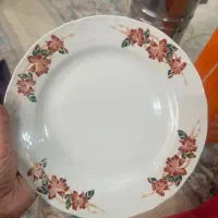 بشقاب پلو خوری