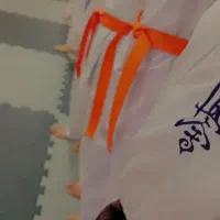 آموزش کیوکوشین کاراته