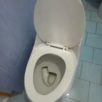 توالت فرنگی