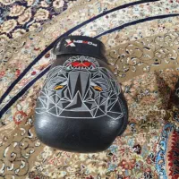 دستکش بوکس|تجهیزات ورزشی|برخوار, |دیوار