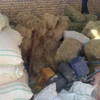 یونجه تابستان خشک خشک