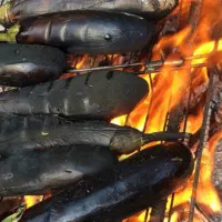 بادمجان کبابی و سرخشده / فروش عمده / پیدن|خوردنی و آشامیدنی|تهران, بلوار کشاورز|دیوار