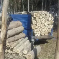 خرید وفروش انواع چوب ودرخت بالاترین قیمت ممکن
